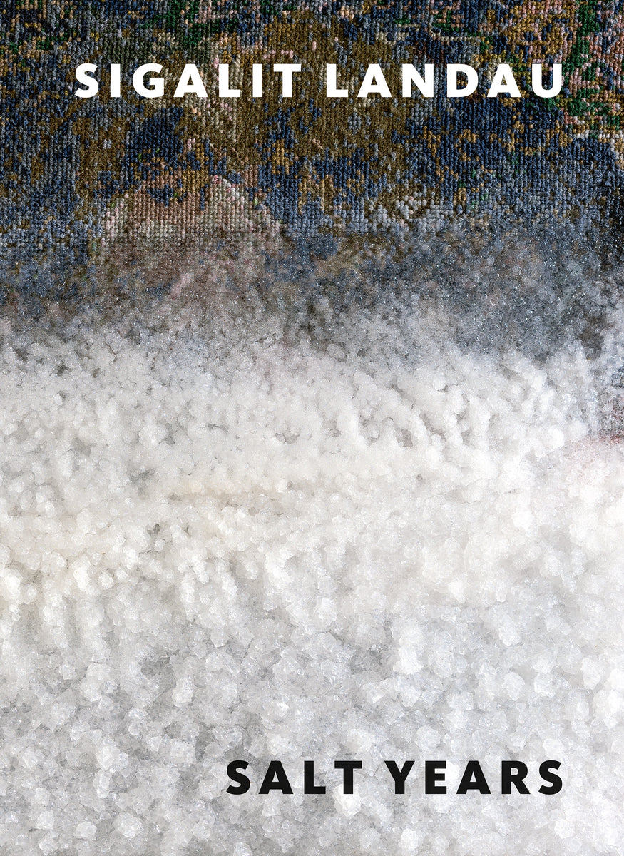 アート・デザイン・音楽 Sigalit Landau Salt Years Sigalit Landau: Salt Years – Museum der Moderne Salzburg
