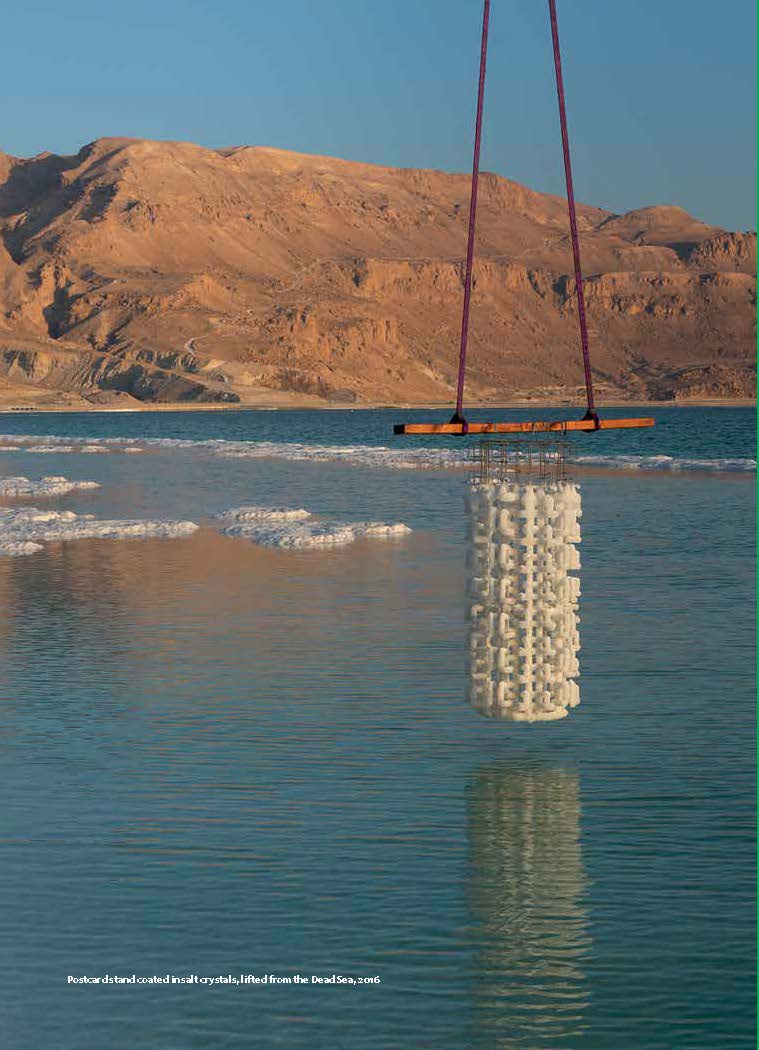 Sigalite Landau: Salt Years